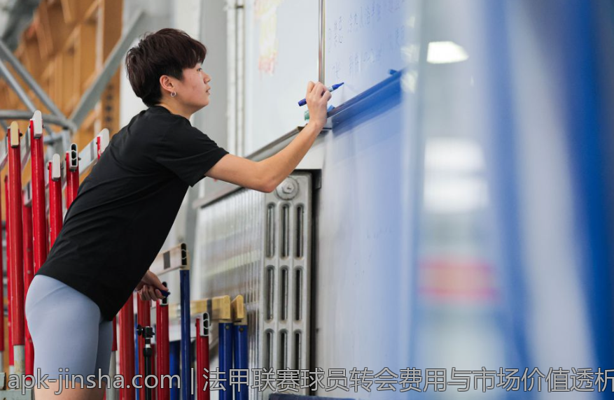 法甲联赛球员转会费用与市场价值透析