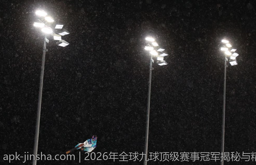 2026年全球九球顶级赛事冠军揭秘与精彩瞬间