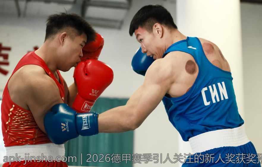 2026德甲赛季引人关注的新人奖获奖预测