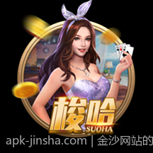金沙网站的广告投放策略与广告效果评估